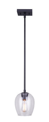 PNDT LIGHT 1LT CLR MATBLK 100W